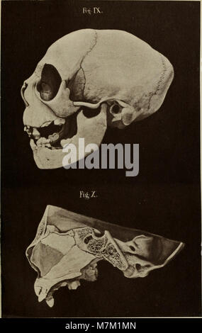 Die Abhandlungen der Königlich Bayerischen Akademie der Wissenschaften ist eine wissenschaftliche Publikation der Königlich Bayerischen Akademie der Wissenschaften mit multidisziplinärer wissenschaftlicher Forschung. Stockfoto