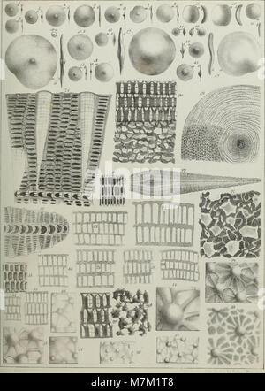 Ein Band der Abhandlungen der Königlich Bayerischen Akademie der Wissenschaften, der Forschungsarbeiten und wissenschaftliche Beiträge von Mitgliedern der Bayerischen Akademie der Wissenschaften dokumentiert. Stockfoto