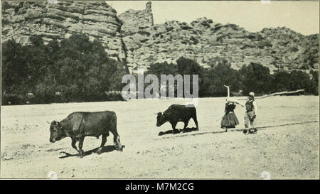 Über Südamerika; ein Konto einer Reise von Buenos Aires nach Lima von Potosí, mit Noten auf Brasilien, Argentinien, Bolivien, Chile und Peru (1911) (14591039349) Stockfoto