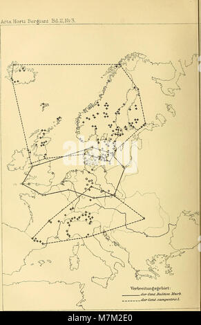 Acta horti bergiani - Meddelanden från Kongl. Svenska Vetenskaps-Akademiens Bergielund Trädgård (1892) (16745194006) Stockfoto