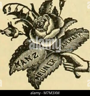 Der 1881 erschienene Band des „American Bee Journal“ enthält detaillierte Informationen über Imkerei, Honigproduktion, Bienenbewirtschaftung und Bienenkrankheiten und dient als wichtige historische Quelle für die Imkerei in den Vereinigten Staaten. Stockfoto