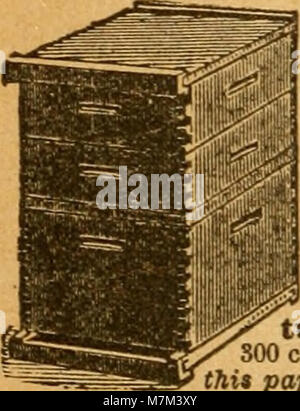 Dies ist der Band 1891 des American Bee Journal, einer US-amerikanischen Bienenzuchtzeitschrift, in der Bienenzuchttechniken, Kolonienpflege, Honigproduktion und damit zusammenhängende Entwicklungen in der Bienenzuchtwissenschaft diskutiert werden. Stockfoto