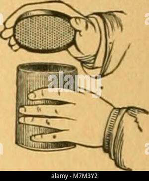 Der Band 1895 des American Bee Journal befasst sich mit Bienenzucht, darunter Artikel über Bienenzucht, Honigproduktion und Bienenbewirtschaftung. Stockfoto