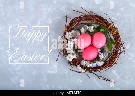 Rosa und Lila Ostern Eier in ein Nest mit weißen Blumen auf einem grauen konkreten Hintergrund Stockfoto