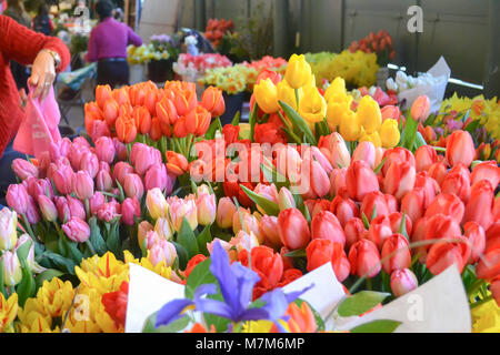 Tulpen an der Farmers Market in Seattle, Washington Stockfoto