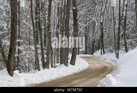 Eine Dirt Road schlängelt sich durch verschneite Wälder in New England Stockfoto