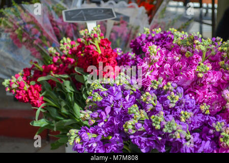 Blumen in voller Blüte an der Farmers Market. Frische Blumensträuße, Geschenk, als Geschenke zu verzieren, und Ihr Zuhause mit Schönheit aus der Natur füllen Stockfoto