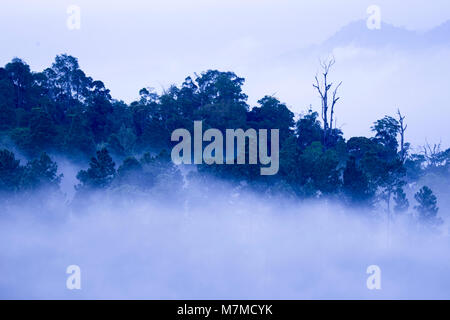 Wolken von Misty Mountain Ranges von Genting Highlands gesehen Stockfoto