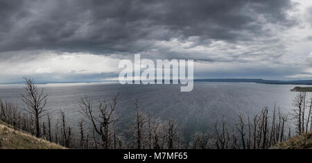 Yellowstone Lake aus Butte Lake Overlook Stockfoto