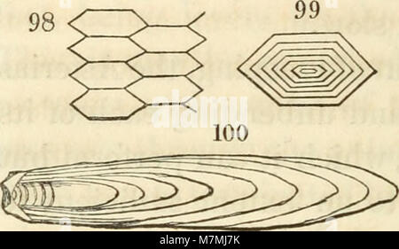 Pflanzliche und tierische Physiologie, mit Bezug auf die natürliche Theologie, von Peter Mark Roget (1834) (14798805493) Stockfoto