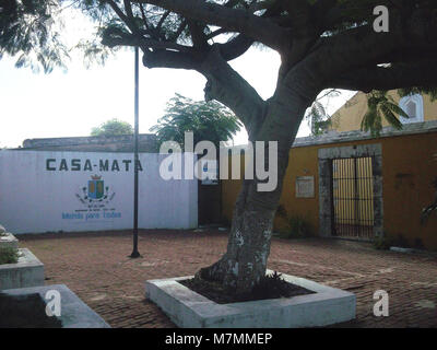 Centro Cultural Casa Mata, Mérida, Yucatán (06) Stockfoto