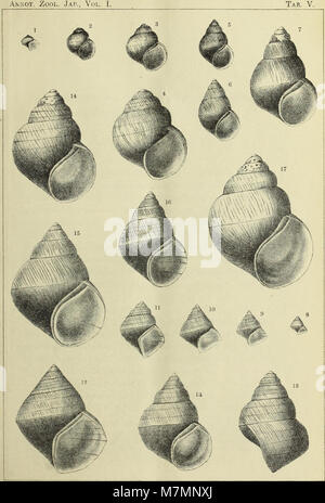 Annotationes zoologicae japonenses - Nihon dōbutsugaku ihō (1897) (18235109050) Stockfoto