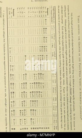 Annotationes zoologicae japonenses - Nihon dōbutsugaku ihō (1903) (18424540251) Stockfoto