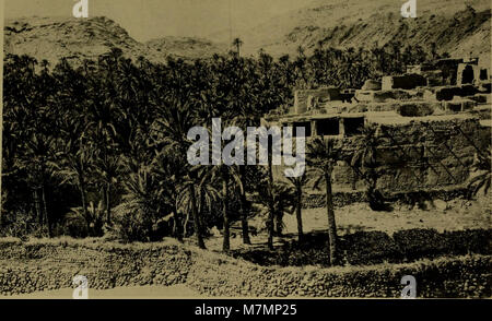 Annuaire du Conservatoire et du Jardin botaniques de Genève (1902) (18425198541) Stockfoto