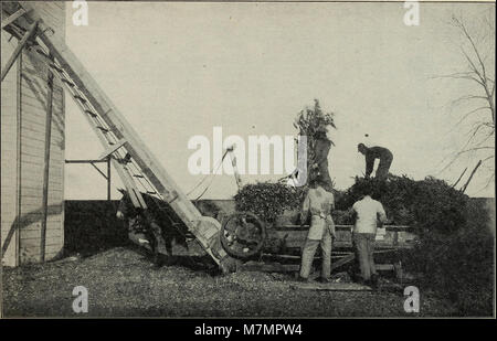 Jahresbericht der Illinois State Milchmänner Association' (18742000104) Stockfoto