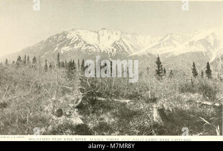 Jahresbericht der New York Zoological Society" (1897-) (19177483840) Stockfoto