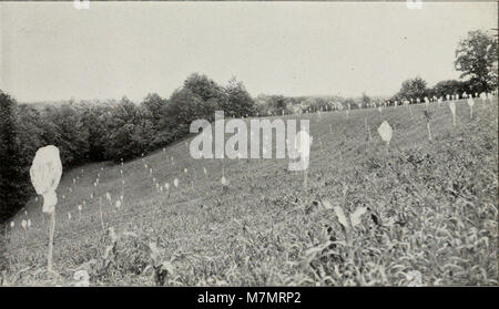 Jahresbericht der Regenten der Universität auf den Zustand der Kabinett der Naturgeschichte, mit Katalogen des gleichen" (1848-1873) (19361829512) Stockfoto