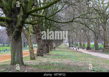 Mit Bäumen gesäumten Straße im Hyde Park London, Ende Winter Stockfoto