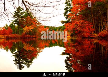 Peak New England Laub Stockfoto