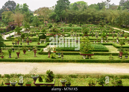 Bonsaigarten Hoàng thành (Imperial City) ein von Mauern umgebene Zitadelle 1804 in Hue, Vietnam gebaut. Stockfoto