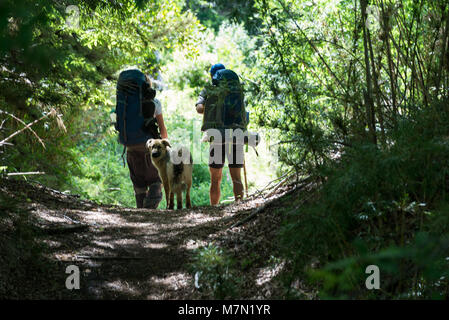 Eine aktive Paar mit ihrem Hund Wandern in der Natur Stockfoto