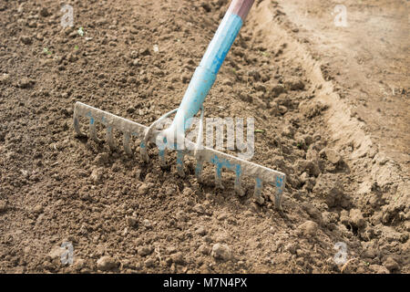 Rake harrow Bodenbearbeitung vor dem Pflanzen Samen im Frühling Stockfoto