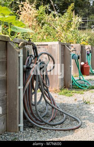 Bewässerung Stationen an einer gemeinschaftlichen Garten. Stockfoto