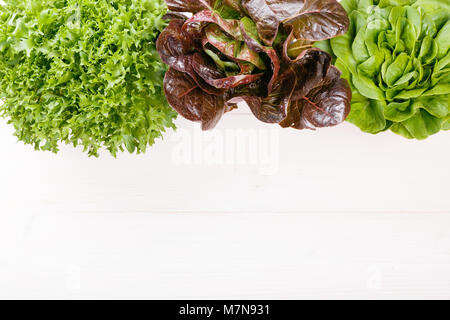 Drei Arten von Salat Stockfoto