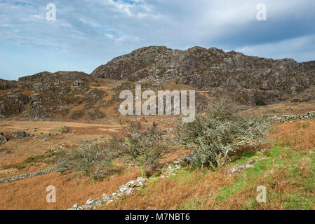 Landschaft Herbst Farbe im Snowdonia National Park, Croesor, North Wales. Stockfoto