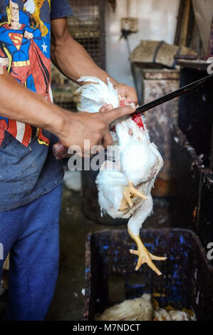 MUMBAI, INDIEN - Januar 2015: Straße Verkäufer schlachten Huhn auf Fleisch stehen. Stockfoto