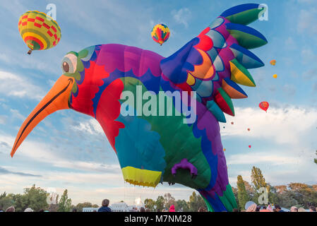 Canberra, Australien, 12. März 2018. Hot Air Balloon Festival in Canberra. Dieser Hummingbird Heißluftballon präsentierte sich der Sonnenaufgang der Menge mit einem Stoß der Farbe. Seine Versuche, um sich entfalten zu können kam ohne Erfolg Obwohl günstige Bedingungen für die heißluftballons waren. Es blieb für den Morgen Binnenstaaten. Sam Nerrie/Alamy leben Nachrichten Stockfoto