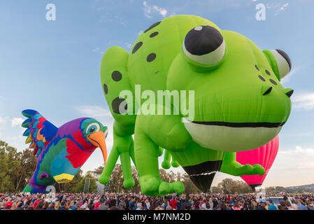 Canberra, Australien, 12. März 2018. Hot Air Balloon Festival in Canberra. Der Frosch Kermie macht einen großartigen Auftritt zum ersten Mal an der Canberra jährliche Heißluftballon-Veranstaltung. Dieses Ereignis gilt für neun Tage. Ist Montag morgen Mangel an Wind brachten viele Menschen gespannt, diese anmutigen Luftballons in den Himmel. Sam Nerrie/Alamy leben Nachrichten Stockfoto