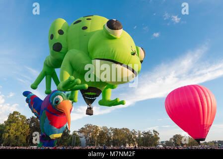 Canberra, Australien, 12. März 2018. Hot Air Balloon Festival in Canberra. Kermie ist ein farbenfroher Anblick als er oberhalb der Kolibri Heißluftballon steigt. Kermie hatte keine Mühe Aufpumpen auf dieser windstillen Morgen im Heißluftballon-Veranstaltung in Canberra, Australien. Sam Nerrie/Alamy leben Nachrichten Stockfoto