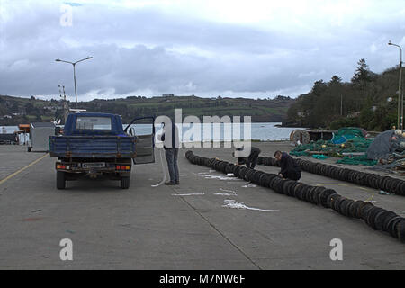 Union Hall, West Cork, Irland. 12. März, 2018. Während die Flotte ist in eine Chance beschädigter Fanggeräte zu reparieren. Credit: aphperspective/Alamy leben Nachrichten Stockfoto