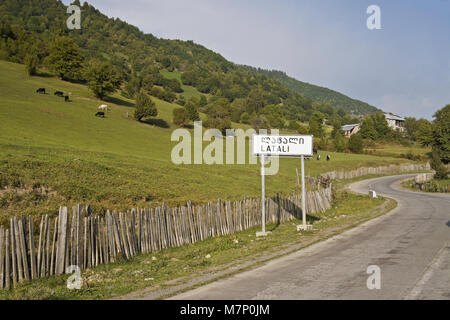 Cattle graze on a hillside in the village of Latali, Svaneti region of the Caucasus, Georgia Stockfoto