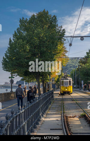 Straßenbahn Finishing auf der Kettenbrücke in Budapest. Von der Budaer Seite der Donau auf einer September Nachmittag Stockfoto