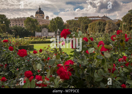 Rote Rosen im Volksgarten Wien. Die Kuppel des Natural History Museum befindet sich im Hintergrund Stockfoto