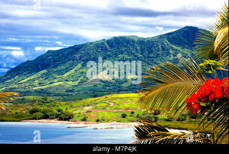 Schöne Landschaft von Fidschi Insel bei Ebbe mit roten Blumen und Palmen im Vordergrund und das Meer mit grünen Hügeln, die Berge und die weißen Wolken Stockfoto