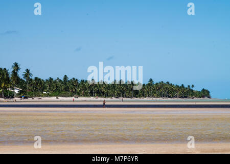 Blick auf den Strand von Sao Miguel dos Milagres - Alagoas, Brasilien Stockfoto