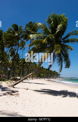 Sonnigen Tag in Praia dos Carneiros Strand - Pernambuco, Brasilien Stockfoto