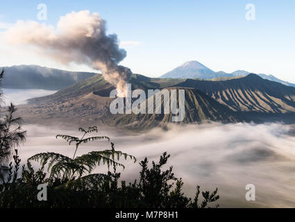 Schöne aktiven Vulkan Mount Bromo - Java, Indonesien Stockfoto