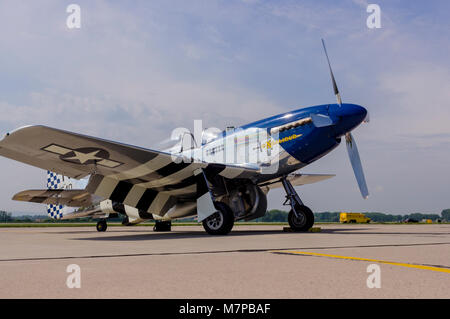 Mustang warten für den take off Stockfoto