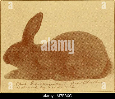 "Outdoor-Möglichkeiten; die Sensibilisierung für Kleintiere, Vögel und Pflanzen; eine praktische Abhandlung auf die Aufzucht und Pflege Kleintiere, Vögel und Pflanzen für Profit und Vergnügen "(1922) Stockfoto