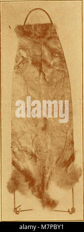 "Outdoor-Möglichkeiten; die Sensibilisierung für Kleintiere, Vögel und Pflanzen; eine praktische Abhandlung auf die Aufzucht und Pflege Kleintiere, Vögel und Pflanzen für Profit und Vergnügen "(1922) Stockfoto