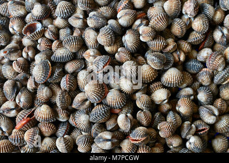 Menge braun Schalen mit roten Muscheln. Sie liegen auf einander. Closeup top Foto anzeigen. Horizontale. Stockfoto