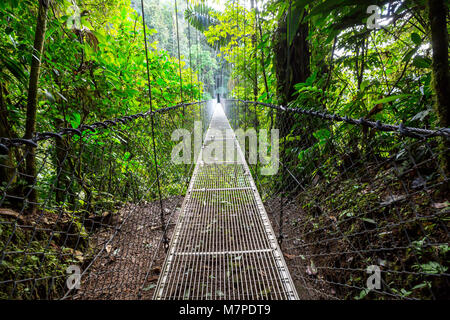 Übergabe Brücke im grünen Dschungel, Costa Rica, Mittelamerika Stockfoto