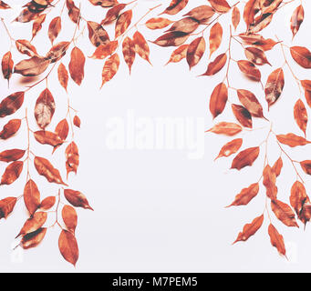 Rahmen aus Rot Gelb Gold Blätter und Zweige auf weißem Hintergrund. Flach, Ansicht von oben. Herbst layout Konzept Stockfoto