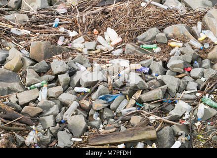 Plastikflaschen entlang der Ufer, Fluss Tyne, South Shields, North East England, Großbritannien Stockfoto