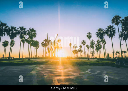 Venice Beach Sonnenuntergang, Los Angeles - Palm Tree Silhouette Stockfoto