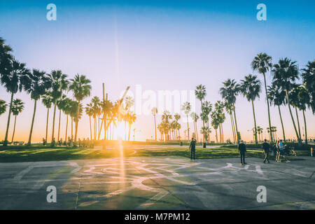 Venice Beach Sonnenuntergang, Los Angeles - Palm Tree Silhouette Stockfoto